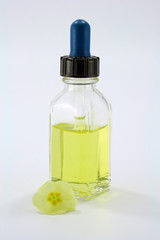 tropfflasche mit blüte