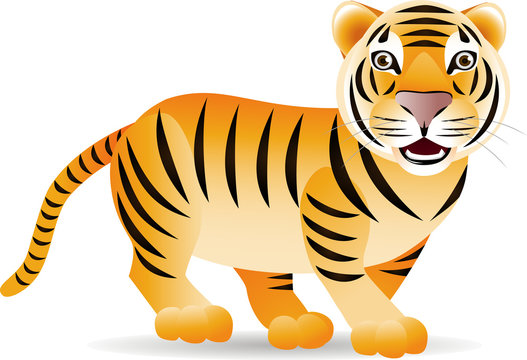 Cute tiger