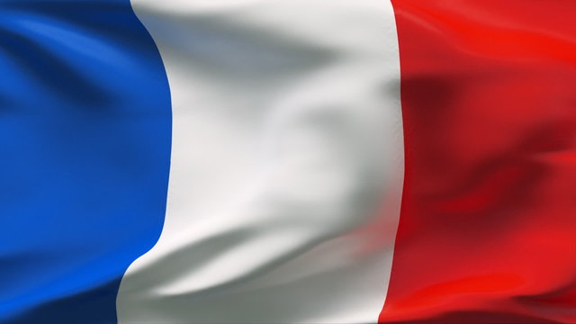 Satin french flag