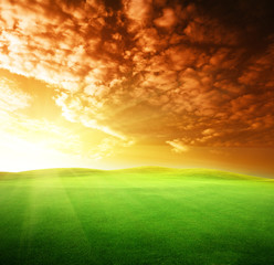 Fototapeta na wymiar field of grass and perfect sunset sky