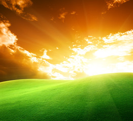 Obraz na płótnie Canvas field of grass and perfect sunset sky