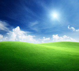 Obraz na płótnie Canvas field of grass and perfect sky