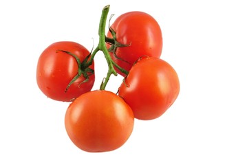 tomatoes