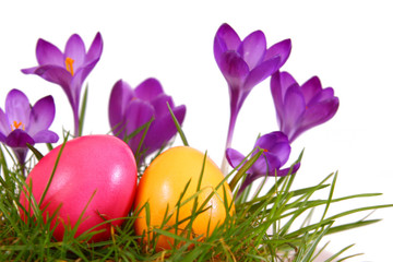 bunte ostereier,blumen