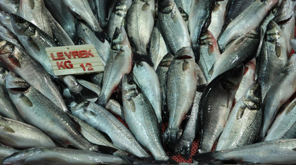 Obraz premium Seabass in the fish market