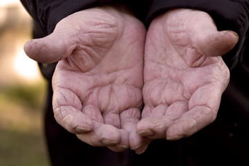 elderly persons hands