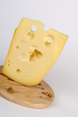 traditional cheese studio isolated