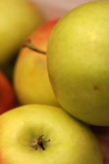 Apples
