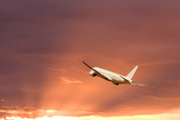 Airplane