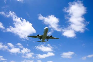 Airplane