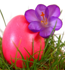 rotes osterei,ostern