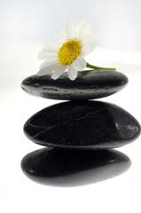 Steinhaufen mit Blume zur Meditation