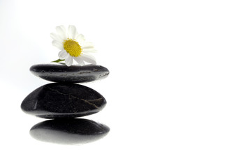 Steinhaufen mit Blume zur Meditation