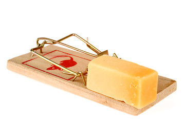 a mousetrap with cheese
