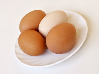 Fresh chicken eggs