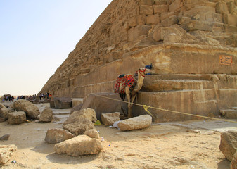 Break time in shadow of Chefren pyramid