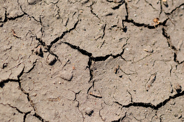 Cracked gray ground