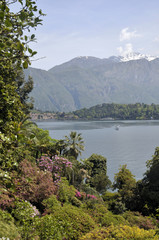 Fototapeta na wymiar Ogrody Villa Carlotta nad jeziorem Como