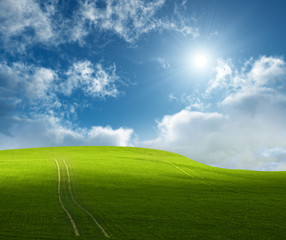 Bright sunshine over a green hill