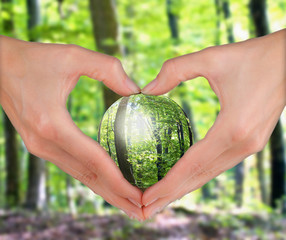 Concept développement durable