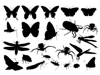 insect silhouette set
