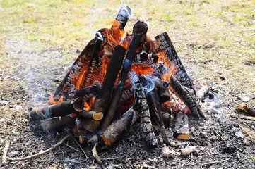 Burning fire and coal