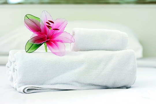 pink blossoming orchid and towel