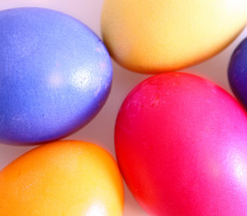 Fototapeta na wymiar gefärbte eier
