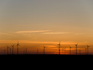 Fototapeta na wymiar Wind farm at sunset
