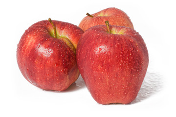 red apples in drops of water