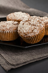 Muffin on Grey