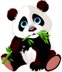 Panda eating bamboo © Anna Velichkovsky
