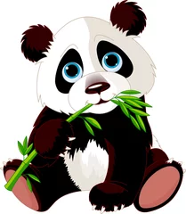 Tuinposter Panda eet bamboe © Anna Velichkovsky