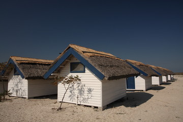 Houses on the seashore