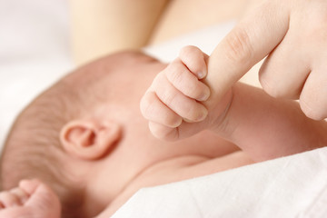Newborn sucks mother's breast, breastfeeding