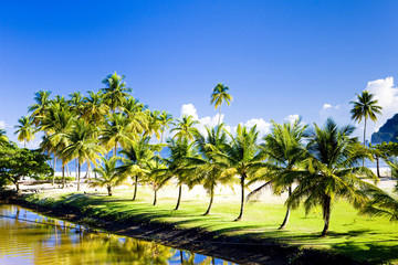 Obraz premium Maracas Bay, Trinidad