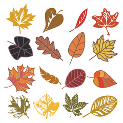 Fototapeta premium set of autumn leaves