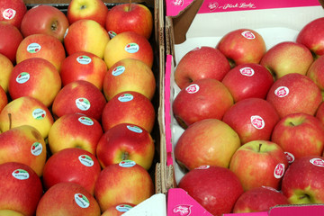 variétes de pommes