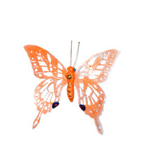 Decorative butterfly on white