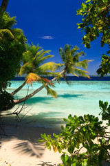 Tropical Paradise at Maldives - obrazy, fototapety, plakaty