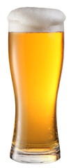 glass of beer on a white background