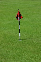 Obraz premium green et drapeau
