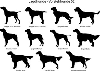Jagdhunde - Vorstehhunde 02 - obrazy, fototapety, plakaty