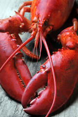 whole red lobster on wood