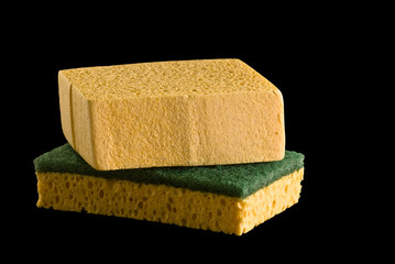 éponges