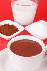 A cup of hot chocolate and its ingredients