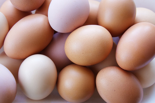 close up abstract eggs background
