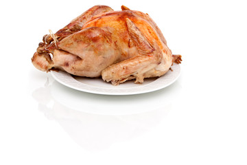 Whole turkey on white background