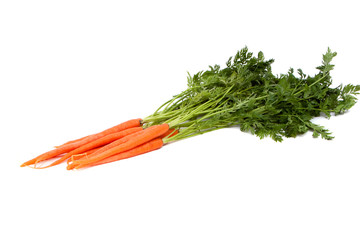 Fresh organic carrot