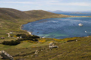 Paradise in the Falklands